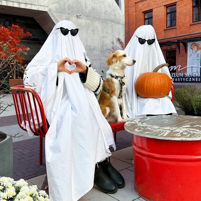 Lepiej polub ten film, bo wpadniemy Cię nastraszyć. 👻🎃🐾

#centrumpraskiekoneser #koneser #warszawa #halloween #piesek