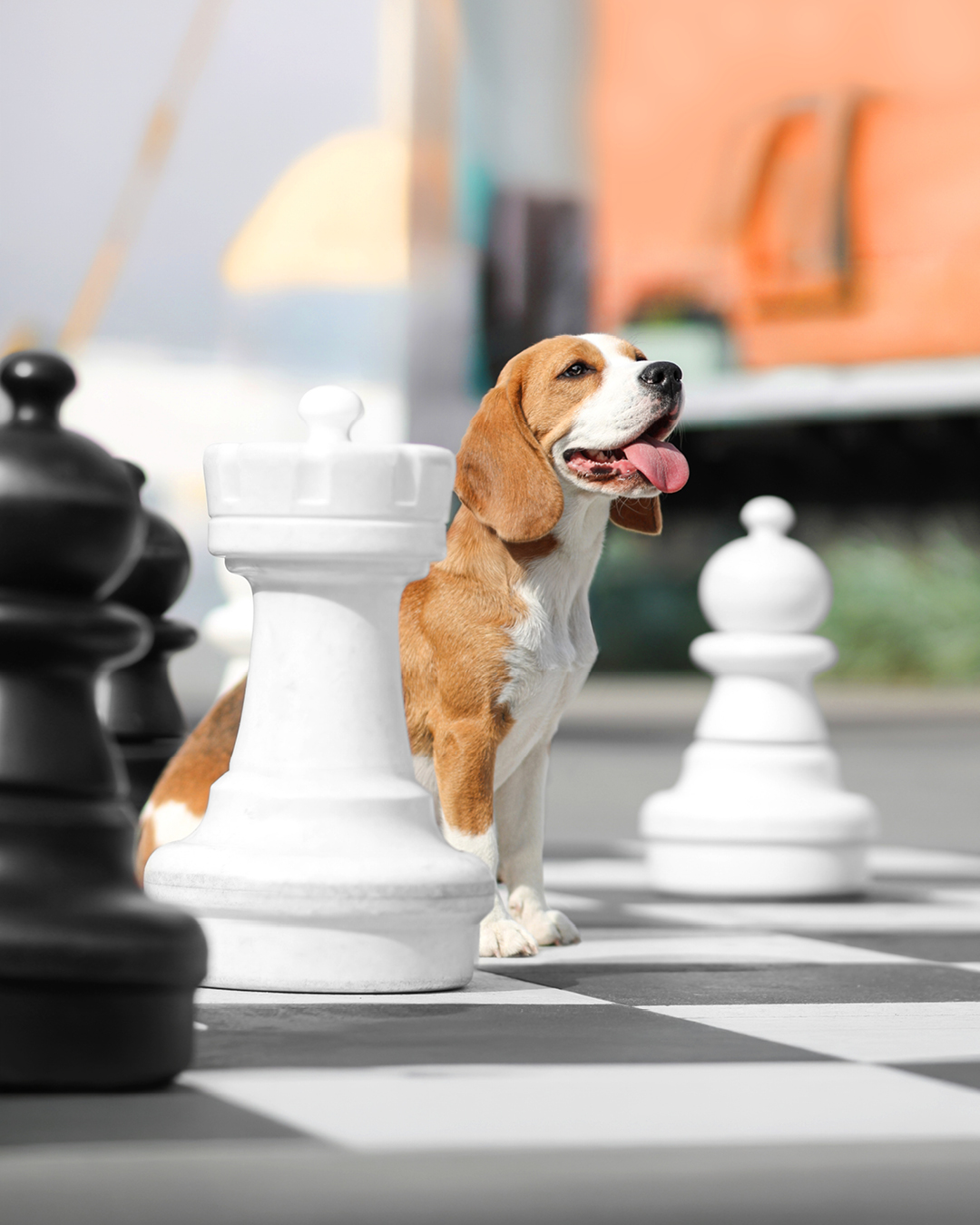 Tydzień majówkowy w Koneserze? Pełen smaku, relaksu i dobrej energii! 🌿  🎭 WYDARZENIA 🎭
🔸 28, 30.04 Zajęcia z Jogi Vinyasa w @kliniki_invimed
🔸 30.04 Festiwal Pizzy w @losteria.pl  🎨 SZTUKA 🎨
🔸 Do 30.04 Wystawa Jacka Piotrowskiego @yatzek.eu “Tam, gdzie dźwięk staje się obrazem” na Placu Konesera
🔸 Do 28.06 Wystawa “Kod wyobraźni - od Beksińskiego do Bielaka” w @muzeumsztukifantastycznej  🎉 ROZRYWKA 🎉
🔸 28.04 Pubquiz x Wyborowa w @setkipowodow  #koneser #warszawa #wydarzenia #sztuka