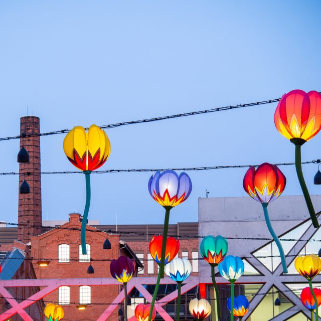 Spotkajmy się w Koneserze! Sprawdź harmonogram na ten tydzień i zaplanuj wizytę. 👇  🎭 WYDARZENIA 🎭
🔸 21, 23.04 Zajęcia z Jogi Vinyasa w @kliniki_invimed 
🔸 21.04 Bezpłatne konsultacje z kosmetologiem w Mydlarni @4szpaki
🔸 21.04 Warsztaty z automasażu twarzy selfKOBIDO w Mydlarni @4szpaki 
🔸 23.04 Festiwal Pizzy w @losteria.pl
🔸 25.04 Czekoladowe Warsztaty malowania torcików wedlowskich w Pijalnia Czekolady @wedelkoneser 
🔸 25.04 Concert & Dining | Tribute Stevie Wonder w @scenakotlownia
🔸 25.04 Spacer @powarszawsku śladem dawnej sportowej Warszawy
🔸 25-26.04 @shoplocal_targi | Targi polskich marek na Placu Konesera  🎨 SZTUKA 🎨
🔸 1-30.04 Wystawa Jacka Piotrowskiego @yatzek.eu “Tam, gdzie dźwięk staje się obrazem” na Placu Konesera
🔸 21-26.04 “Tydzień z bursztynem” z Tibuki Store w @galeria_bizuterii_wspolczesnej
🔸 Do 30.04 Magia Natury | Wystawa kwiatowej biżuterii Katarzyny Czajkowskiej w @galeria_bizuterii_wspolczesnej
🔸 Do 28.06 Wystawa “Kod wyobraźni - od Beksińskiego do Bielaka” w @muzeumsztukifantastycznej  🎉 ROZRYWKA 🎉
🔸 21.04 Pubquiz x Wyborowa w @setkipowodow  #koneser #wydarzenia #targi #corobićwwarszawie